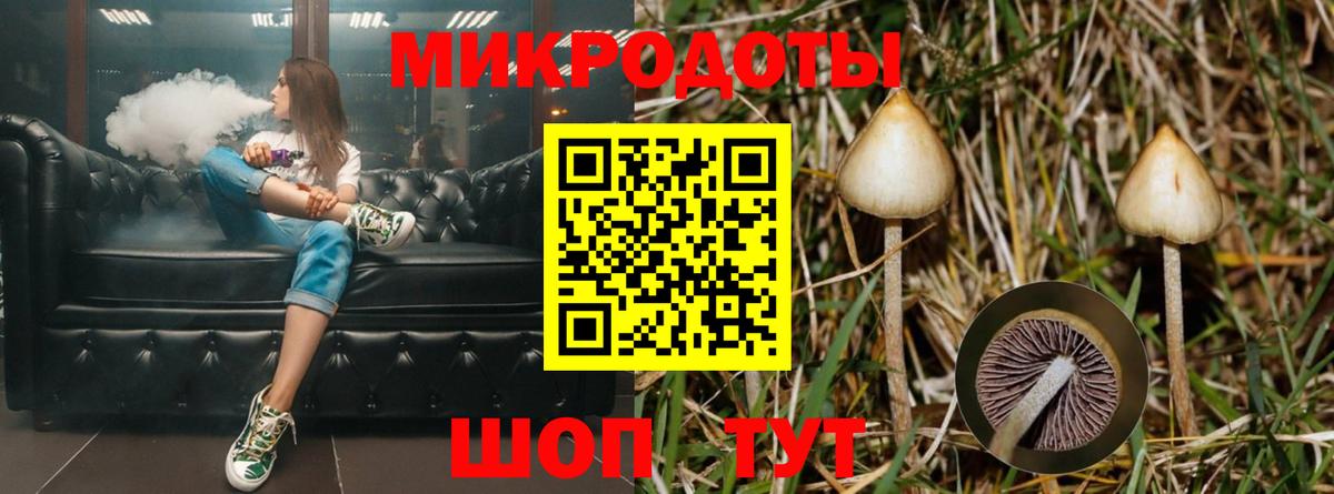 Конаково  Псилоцибиновые грибы мицелий  Вход с VPN 